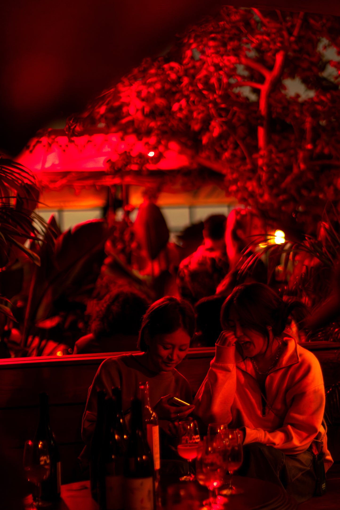 Get SAUCED Gift Card – $50